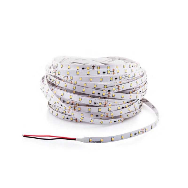 Striscia LED alimentabile 18 W 4000 K Luce naturale bobina 20 m Ventimetri Playled NCT20N