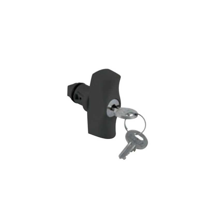 Kit serratura a chiave con maniglia per Quadri Palazzoli 550680